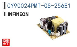 CY90024PMT-GS-256E1