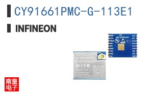 CY91661PMC-G-113E1