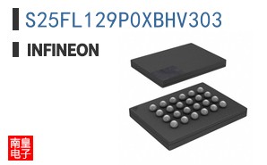 S25FL129P0XBHV303